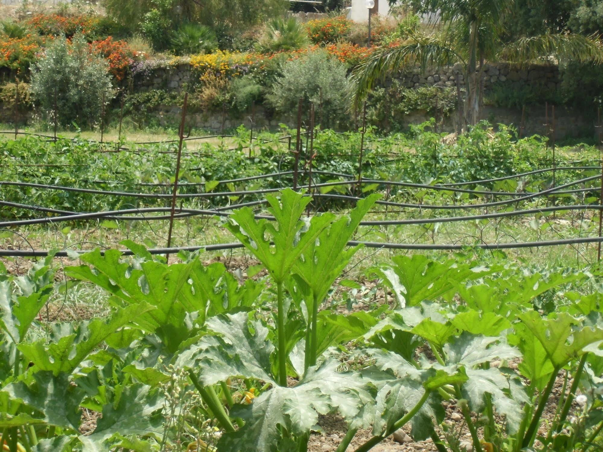 Villa Stella Di Sicilia à San Fratello Extérieur photo